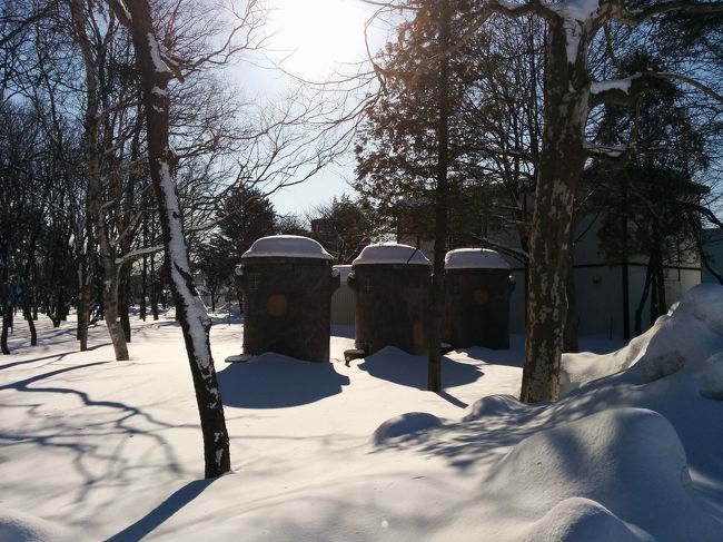 モフモフの雪を求めて北海道へ！<br />今回は札幌1泊、スキー場1泊のタイトスケジュールなので、札幌から比較的近いキロロにしました。<br /><br />ジェイトリップツアーにて31800円<br />朝食・スキーバス・リフト6時間券付き<br />昨年は3泊4日で36000円だったから少々割高感がありますが、まぁ仕方ないや(ーё一)<br />3日間の短い旅行でしたが、おもいっきり堪能してまいりました！！<br /><br />まずは出発→さけのふるさと千歳水族館編です。<br /><br />雪印メグミルク→サッポロビール博物館→札幌お泊まり編はこちら<br />https://i.4travel.jp/travelogue/show/11218788<br /><br />キロロスノーワールド＆お土産編はこちら<br />https://i.4travel.jp/travelogue/show/11219516