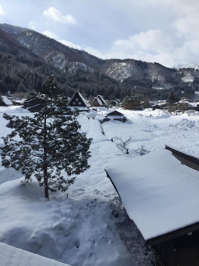 今回地元の友人５人で旅行に行こうとなり、みんなが行ったことのない場所ということで白川郷を訪ねることにしました。雪景色の白川郷はとても趣があるので行くのをみんな楽しみにしていました。また、中学生の時に音楽の授業でこきりこをやったときに見た合掌造りの家をみんなで訪れることはとても感慨深かったです。当日は天気も良く、まぶしかったほどですが、初めて見る合掌造りの家屋にみんな感激し、上を見すぎて何度か足を滑らせそうになりました。また、家屋に向かうまでに吊り橋を渡るのですが、そういった交通の便の悪さや気候などを考えて作られた家屋が何百年も残っていることに大変感動しましたし、世界遺産といえども、人が住んでいるといった点もどこか不思議で、有名な和田家は展示スペースと住居スペースが混在していてなんか面白かったです。白川郷限定のどぶろくきんつばも注目です。ここでしか売っていないのでお酒好きの人へお土産に買うと喜ばれると思います。