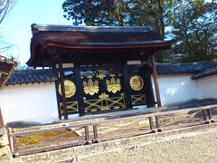 京都　醍醐の花見　秀吉が愛した醍醐寺