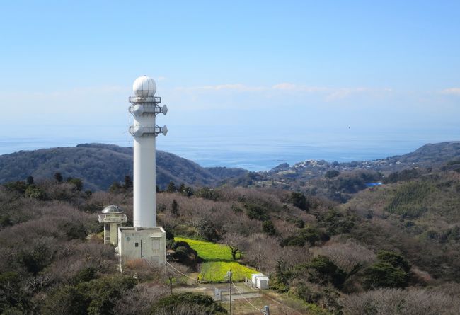 大楠山ハイキング<br /><br />先月に続いて2月25日（土）横須賀線・逗子駅改札AM9.30集合で、元会社仲間五人で初訪問の大楠山のハイキングです。<br /><br />逗子駅バス9:33発--前田橋バス停--前田川遊歩道--大楠山登山道分岐--大楠山雨量レーダー観測所--大楠山山頂--阿部倉・塚山公園--しょうぶ園--衣笠駅<br /><br />天気も良く風もおだやかで楽しく気持ちの良い一日が過ごせました。<br /><br />歩数：16,900歩<br />距離：10.5ｋｍ