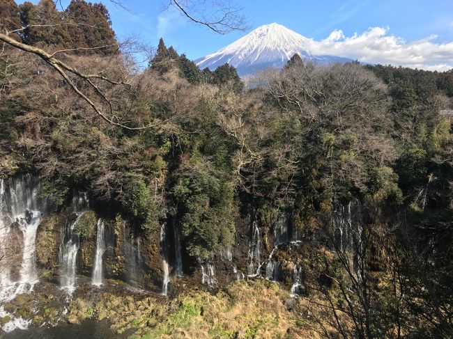 『富士山―信仰の対象と芸術の源泉』で世界遺産登録されている構成資産を巡る旅。<br />前回は3年半前、山梨県側の忍野八海周辺を周りました（その時の旅行記は　http://4travel.jp/travelogue/10804909）が、今回は第二弾として静岡県側の富士宮市周辺にある構成資産を訪れます。<br /><br />訪れた構成資産<br />　・富士山本宮浅間大社<br />　・白糸の滝<br />　・山宮浅間神社<br />　・村山浅間神社<br /><br />元々は静岡の知人とどこかで会うだけの予定だったのですが、富士宮に行きたいなぁと言ったら、じゃあそこでという事になり、わざわざ静岡から車出してくれたおかげで、公共交通機関で行けないような場所まで行くことができ、私的にはとても充実した内容となりました。<br /><br />知人はどう思ったか知りませんが・・・まぁ物好きだなぁと思ったことでしょう。