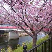 伊豆（伊東・河津・稲取）の旅～！