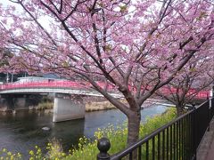 伊豆（伊東・河津・稲取）の旅～！