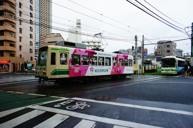 わーちゃん、たかぢ、けんいちの3人で&lt;大人の遠足&gt;です。<br /><br />今回の大人の遠足は、東京に唯一残る都電（荒川線）に乗り沿線をブラブラします。<br /><br />大人の遠足：わーちゃんが企画して街をブラブラ散歩する会。神社仏閣を巡ることが多く、美味しいものと酒場を目指して歩きます。<br />