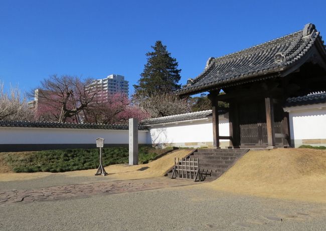 弘道館は、水戸藩第九代藩主徳川斉昭が、天保12年（1841）に開設した藩校です。当時の藩校としては日本最大規模でした。幾多の戦火を免れた正門、正庁、至善堂は、国の重要文化財に指定されています。<br /><br />儒学や武道をはじめ医学、音楽、天文学など幅広い教育を行い、藩士子弟に文武両道の修練を積ませていました。最後の将軍徳川慶喜は、幼少期に弘道館で学び、大政奉還後ここで謹慎生活を送りました。<br /><br />徳川斉昭の意向により開校当初から多くの梅木が植えられています。斉昭の漢詩「弘道館に梅花を賞す」には「千本の梅がある」とあります。現在、敷地跡には梅木約60品種800本が植えられており、梅の名所となっています。 <br /><br />「弘道館に梅花を賞す」 徳川景山（徳川斉昭）作<br /><br />　　　弘道館中千樹梅　清香馥郁十文開<br />　　　好文豈謂無威武　雪裡占春天下魁　　