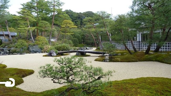 山陰旅行の2日目は前泊した安来町で足立美術館とどじょうすくいで有名な安来節を見学する。その後、松江に移動。松江城や宍道湖などを鑑賞。宿は米子から日本海沿いにある皆生温泉に宿泊する。<br /><br />2日目<br />足立美術館前11:20～米子駅前11:50/12:13(やくも7号)→松江12:36<br />松江16:01(やくも24号)→米子16:25/16:33～皆生温泉16:56　海色・湯の宿松月<br />