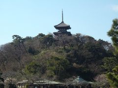 梅の時期の三渓園、横浜散歩