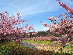 みなみの桜と菜の花まつり＆赤沢温泉ホテル宿泊