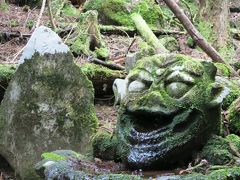 求菩提山は苔が綺麗だった