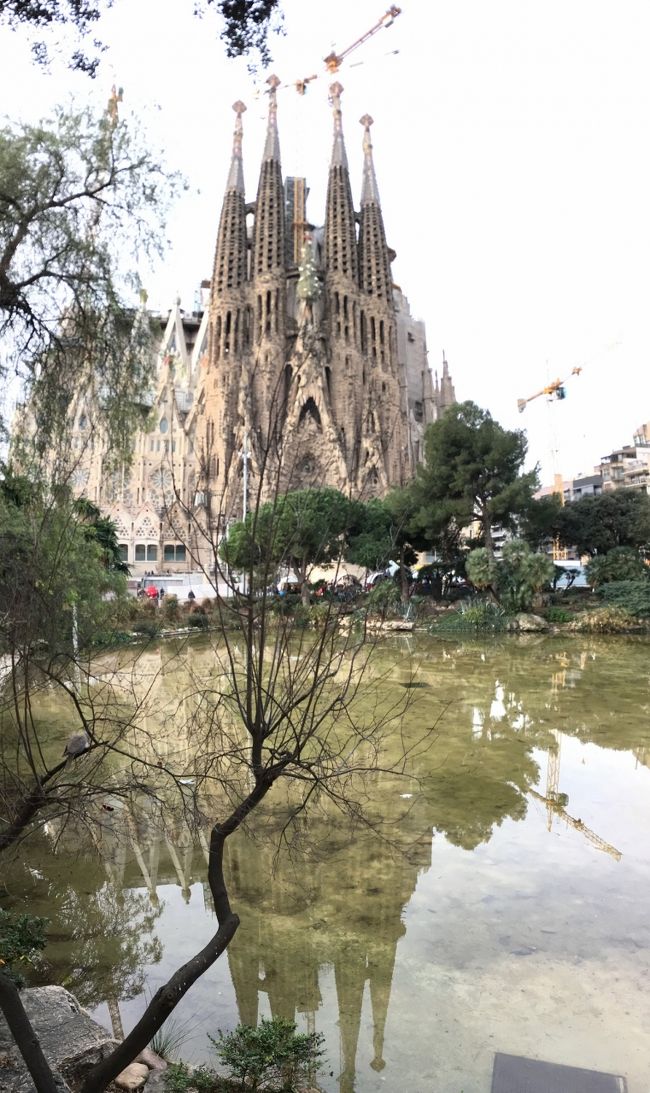 建築家アントニオガウディ(Antoni Placid Guillem Gaudi l Cornet 1852～1926)はスペインのカタルーニャ地方(Catalunya自治州で州都はバルセロナ、国民総生産ではスペインの全体の2割を占めるお金持ちの州)出身の建築家です。<br /><br />スペインには45の世界遺産があります。ちなみにフランスが最近登録の「ルコビジュエの建築作品群」を入れて42です。イタリアはさすがで51です。スペインの45のうちカタルーニャ州には5つの世界遺産があります。<br /><br />アントニオガウディの作品群は1984年に登録されています。当初「バルセロナのパルケ、グエル、パラシオ・グエル、カサ・ミラ」で登録されました。2005年の追加登録の時に「アントニオガウディの作品群」(Works of Antoni Gaudi) と登録名称を変更しています。<br /><br />ガウディの世界遺産建築群7箇所のうち6箇所はバルセロナにあります。<br />1)サグラダファミリア教会(聖家族教会)の「生誕のファザード」と「地下聖堂」<br />2)グエル公園<br />3)カサミラ<br />4)カサビセンス<br />5)グエル邸<br />6)カサバトリヨ<br /><br />バルセロナはスペインの中でも明るくて、にぎやかで、楽しめる街でした。最低2泊でもう一度来て見たいです。<br />ーーーーーーーーーーーーー<br /><br />写真はサグラダファミリアがサカサデファミリアになるよう手前の池にサクラダファミリアを映し入れて見ました。iPhoneの縦パノラマ撮影です。iPhoneの画質がかなり良くなったことがわかります。