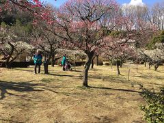 里の早春　町田