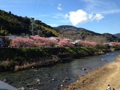 娘とショートトリップ。　東京と伊豆を訪ねて。