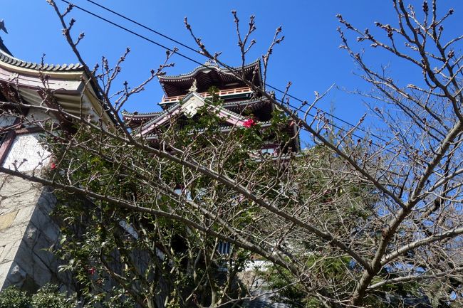 今年の健康テーマは、昨年の琵琶湖一周260kmの比較的平坦な道のウォーキングから、少し山道に入り込んだ「京都一周トレイル」に挑戦します。京都市街を取り囲む東山36峰から北山、西山を渡り歩く京都観光局が定めた京都一周コースがあるので、これに「西山天王山コース」を加えた全長150km、最高標高838mの山道をマイペースで歩きます。<br />第1回目は「伏見コース」で、1ヵ月遅れの初詣と、このウォーキングの無事を祈願することも兼ねて、「伏見桃山城」から「伏見稲荷大社」のコース13kmです。見所は、伏見桃山城と大手門がある御香宮神社、桓武天皇から明治天皇まで京都で最も天皇陵が集中している御陵群、堂本印象の大岩神社、伊藤若冲の石峰寺、そして稲荷神社の総本宮・伏見稲荷大社です。<br />「伏見」は、京都、大阪、奈良、近江の中継地にあたり、木津川、宇治川、桂川、鴨川が流れ込んで、陸路、水路の要所となって、秀吉の「城下町」と神社仏閣の多い「門前町」と、豊富に湧き出る名水から月桂冠、キンシ正宗、キザクラ、宝酒造（松竹梅）など「酒蔵の町」で有名ですが、今回はこれに加えて京都の中でも最も多い「天皇陵」があり、平安京時代から皇室との関わりの深い町であることも分かりました。<br />「京都トレイル」で山深くまで歩くことで、京都の奥深い歴史に遭遇することが出来、健康のためだけでなく、これからどんな新しい発見に巡り合えるか、楽しみです。<br />