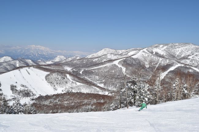 ２年ぶりの志賀高原スキー場で<br />新しく購入したニコンＤ５３００と<br />ipad Air2と２つでの撮影を楽しみ<br /><br />春スキーを満喫しています。<br />