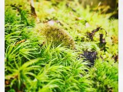 狭山美学校というアートとリラクゼーションが堪能できる秘密の場所