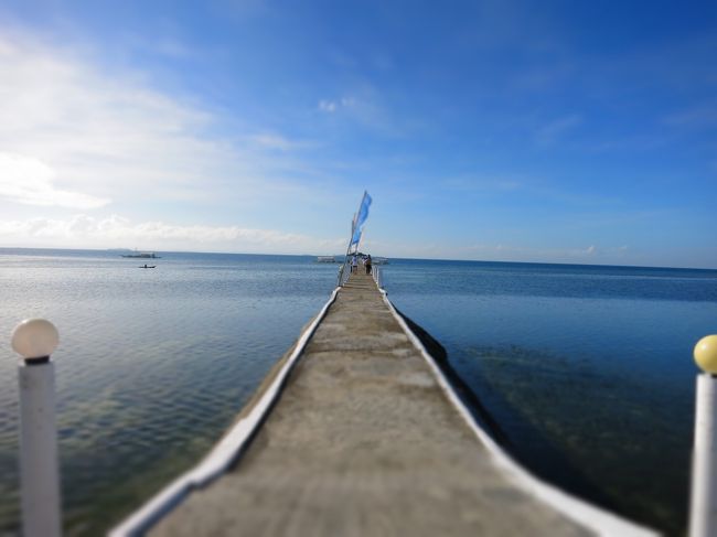 今年最初のダイ部です<br />OWを取得して最初のファンダイビングが2005年のセブ島（正確にはマクタン島）<br />カラフルな魚に囲まれてボートに戻ればテーブルに並ぶランチ、そりゃぁもう夢の時間を過ごした（記憶）<br /><br />ここ数年、間違いなしのフィリピンの海をホームグラウンドとして潜っている<br />今回も有給休暇消費でダイ部（超小集団の部活動）で２ヵ月前にも行ったセブへ飛んだ<br />最南端のリロアンへはクリアな海と珊瑚礁オスロブへも近いのでジンベエ目当て、モアルボアルへはイワシの群れ、そして２ヵ月前に行った最北端のマラパスクアではニタリザメと目的があって潜るのだけど、今回は特に無し。<br />初心に返って殿様＆姫様ダイビングを楽しもう♪<br /><br />写真は皆さんの旅行記の表紙に出てくるパシフィックセブリゾートの桟橋にしてみました。<br /><br />【参考】***********************************************************<br />STW ダイビングツアー<br />『フィリピン航空利用 価格重視にお勧め P.C.Divers利用で４ボートダイビング パシフィックセブリゾート宿泊４日間』<br /><br />旅行代金　63,800円（旦那：74,800円一人部屋）<br />現地税･空港税　2,850円<br />中部国際空港使用料　2,570円<br />前回のマラパスクアアンケート割引 -1,000円<br /><br /> ツアー代金合計 68,220円（旦那：79,220円）<br /><br />ポイント変更追加料金　P3,375/人<br />カメラ税　P200/人<br /><br />