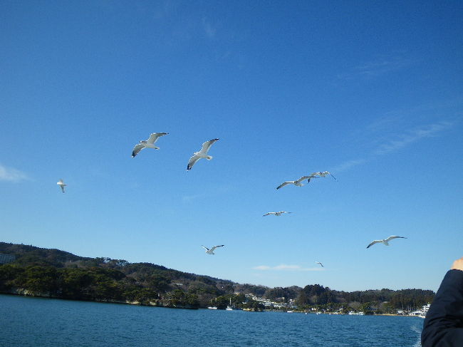 昨年Fの骨折で温泉旅を満喫できなかったので、再度、仙台作並温泉に宿泊しました。天気がよかったので、まずは松島湾クルーズを楽しみました。