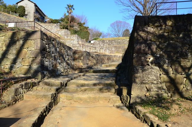 群馬県に住んでいながら、こんな名城が有ったことに驚かされました。<br />1469年に築城、上杉謙信や武田勝頼などの有力戦国大名から１０数回に及ぶ攻撃を受けても一度も落城しなかった名城ですが、1590年豊臣秀吉の北条氏征伐により廃城となりました。<br />現在は立派な石垣や池などが残っています。