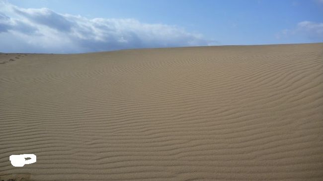 山陰旅行の最終日は鳥取砂丘を観光。観光可能な砂丘としては日本最大規模。<br />心配だったのは日本海側の天気。雪に覆われていてはせっかくの風景も雪原なのか砂漠なのかわからない。<br />広大な砂漠が見られることを期待して当日を迎えた。<br /><br />最終日<br />倉吉8:17(ｽｰﾊﾟｰはくと4号)→鳥取8:51/鳥取駅前9:10～砂丘会館9:42//13:00～鳥取13:22<br />鳥取14:54(スーパーはくと10号)→新大阪17:24/17:47(のぞみ250号)→東京20:43<br />