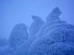 【Ⅲ】蔵王樹氷・最上川雪見舟・雪見ローカル列車　5つ星の宿「萬国屋」と雪化粧美しい「銀山温泉」3日間　（その3）『蔵王「樹氷・モンスター」見物　～ワイナリー高畠』