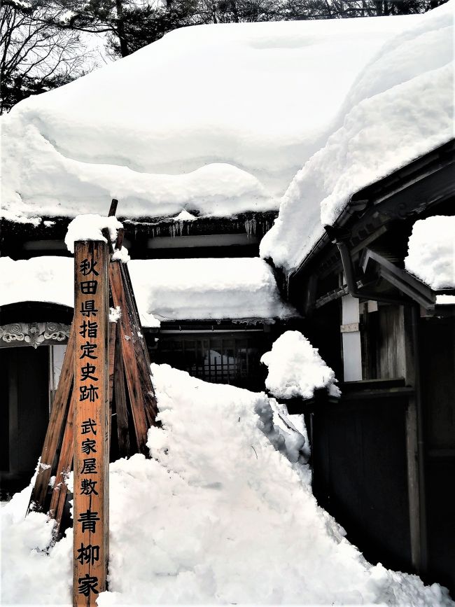 秋田角館（かくのだて）は秋田県仙北市の地名、および国の重要伝統的建造物群保存地区の名称。現在も藩政時代の地割が踏襲され、武家屋敷等の建造物が数多く残されており、「みちのくの小京都」とも呼ばれる。（フリー百科事典『ウィキペディア（Wikipedia）』より引用）<br />  <br /> 角館の武家屋敷　青柳家   <br />青柳家は石黒家の南隣にあり、3,000坪の敷地です。広い庭には、600種類もの花や木が四季折々の表情を見せています。青柳家はもともと芦名氏譜代の侍でしたが、断絶後、佐竹北家の組下となった家柄です。代々の役職は納戸役を多く勤め、実禄は104石。高い格式を誇っていました。道路に面して黒塗りの簓子（ささらこ）塀があり、八双金具のついた薬医門の矢板には、万延元年（1860）大工棟梁柴田岩太郎の銘が記されています。現主屋の建造もこの頃と推測できます。門から入って北側に井戸、米倉、武器倉などが点在しています。正玄関と脇玄関があり、客の格式、身分により、その使用を分けていたようです。主屋は寄棟萱葺き屋根の鍵屋で、座敷は現存する角館の武家屋敷のなかで最も豪華です。<br />（http://www.ldt.co.jp/kakunodate/street/2_2.html　より引用）<br /><br />角館歴史村　青柳家　については・・<br />http://www.samuraiworld.com/<br /><br />