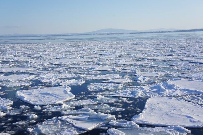 寒い冬に、ましてや氷点下の北海道に好き好んで行くなんて!と、雪国育ちなのに寒がりの私は嫌厭していました。<br />しかしながら、流氷を見たい…と相反する憧れの感情も、ずーっとありました(笑)<br />自然相手なので確実に見れる訳ではありませんが、今回はお天気に恵まれ、念願の流氷も見れてラッキー!<br />ヒートテックとダウンを着こんで、冬の魅力いっぱいのオホーツクを楽しんできました。<br /><br /><br /><br /><br />