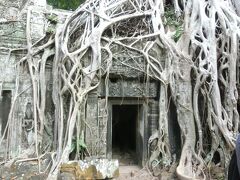 2017冬 カンボジア08：世界遺産アンコール遺跡 タ・ケウ、タ・プロームなど