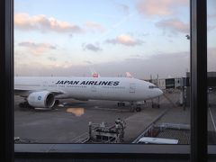 JAL SKY SUITEでハノイ、ハロン湾、母とドラえもんと珍道中１　東京～ハノイ