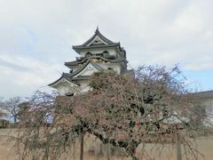 ４００年の歴史をちょっぴり感じながらのんびりお散歩　彦根城