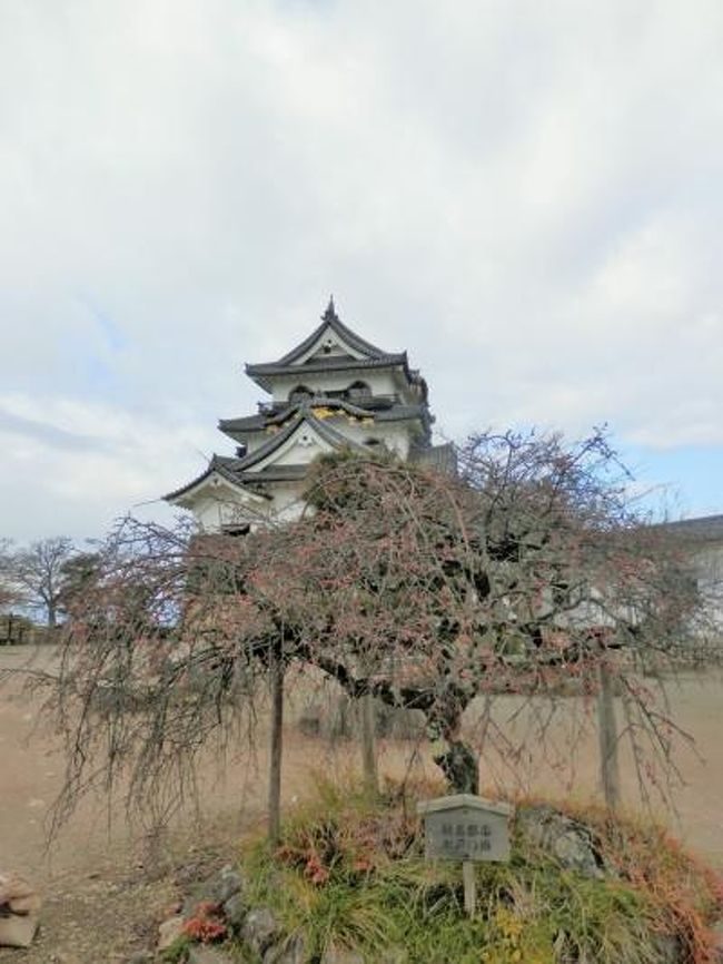 ４００年の歴史をちょっぴり感じながらのんびりお散歩 彦根城 彦根 滋賀県 の旅行記 ブログ By Rokoさん フォートラベル