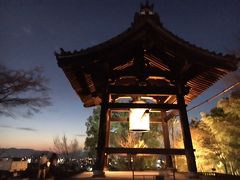 京都東山花灯路ライトアップと大徳寺聚光院  国宝障壁画 特別公開