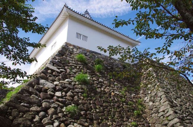 亀山城、伊賀上野城、津城、松坂城を訪問