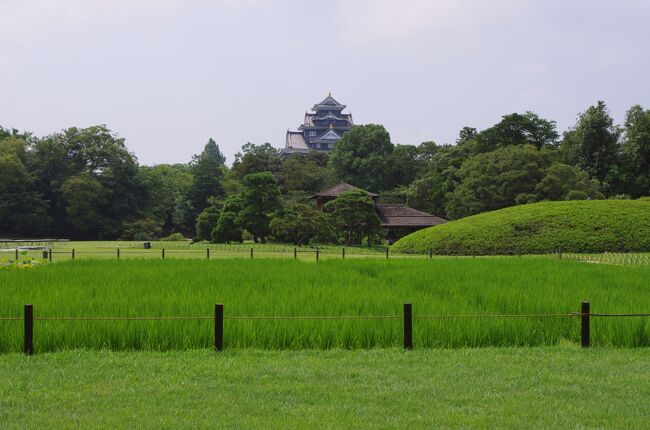 岡山城と後楽園を訪問