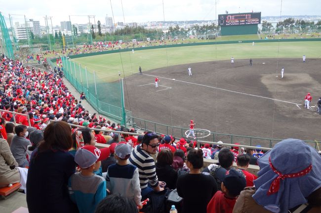 昨年に続き、今年もカープの沖縄キャンプをちょっとだけ観に行きました。<br />宮崎日南はあの人もこの人も行くというので、今年も大盛況だったようです。ホテルも全くとれず、断念。<br />沖縄遠征は２回目なのでスタジアムやホテル周りの地理も頭に入ってきて、遠征費もそこそこ安く抑えることができました。ホテルもエアもカープ優勝するかどうか？の盛り上がりの９月初旬にすべてキャンセル不可の料金で手配。<br />キャンプ日程が出るのは１２月なのでヒヤヒヤでした。