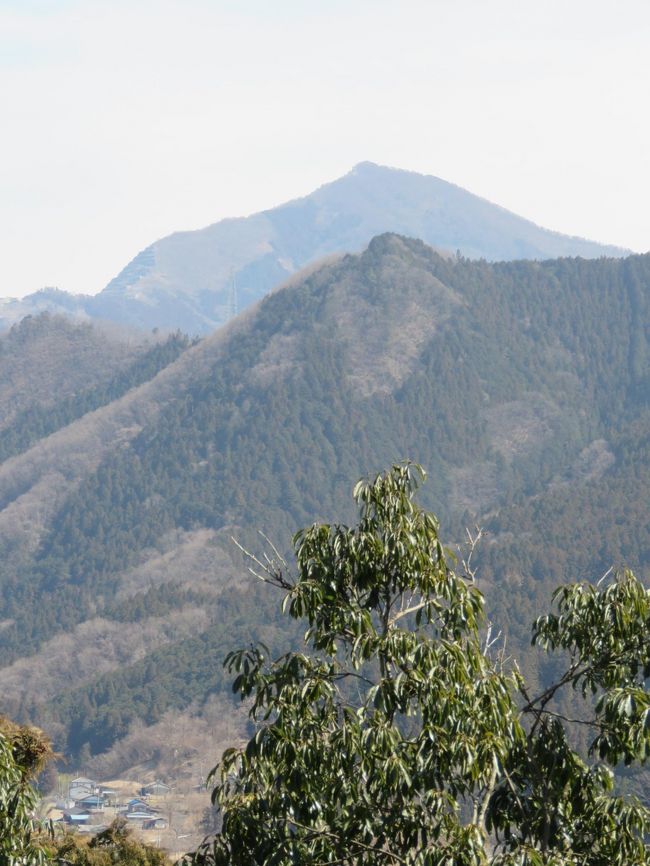 3月4日、午前11時3分に武州日野駅に着いてから、セツブンソウを求めて、駅裏の山を上って行った。　その後、虚空蔵大菩薩より弟富士山に登った。　弟富士山は三週間後にはカタクリの花が見られのであるが、訪問した時はカタクリの存在がはっきりとわからないようになっていてびっくりした。　山頂付近からは武甲山や若御子山が見られた。<br /><br /><br /><br />*弟富士山山頂付近から見られた武甲山