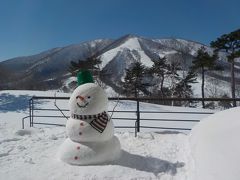 斑尾高原SKI・温泉 新幹線旅！