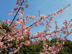 子連れ山梨旅行 秋の味覚狩り(ぶどう) &富士サファリパーク