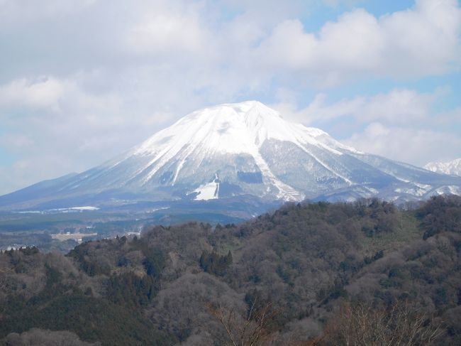 鳥取県が去年の地震被害から立ち直ろうと観光客誘致のために一人１万円の助成金を出していることを知った。これは行かずばなるまいということで、さっそく旅行社に申込み。<br />後先になるがＪＲ・宿泊・レンタカーすべて入れて一泊で一人２２０００円ほどなのだ。鳥取県の平井知事に感謝。好天にめぐまれて、大山も壮大な景観を見せてくれるし、同じような夫婦連れと出会いの旅となったし、「よかったよかった」の思い出となった。<br />まずは倉吉からレンタカーで１時間、とっとり花回廊へ。（これも無料券がついていたのだ。）<br />冬とあって花は少なめながらクリスマスローズ展はあったし、ランやユリは咲き誇っていたし、何よりここからの大山がよかった。伯耆富士と言われるだけあって、まさに富士山そっくり。<br /><br />三朝温泉に泊まるが宿も申し分なし。この値段で・・と思うくらい豪華な夕食をいただく。<br /><br />三徳山は閉鎖中で投入堂は行けないので、せめて遥拝所まで。朝モヤの中にぼんやりしか見ることはできなかったが、ここで老夫婦に出会う。てっきり車で来られたと思いきや、バスで登ってこられて、帰りのバスまで１時間以上待ちと分かる。ならば一緒にどうぞというわけで、三朝や倉吉までご同行する。たいへん感謝され、話がはずむ、心がゆったりする。団体旅行でないのに、こうした出会いはめずらしい。聞けばやはり鳥取の助成金を使っての旅とのこと。<br /><br />三朝バイオリン美術館、なしっこ館など、はじめてのところや定番の倉吉白壁土蔵群などめぐる。地震被害は新しい家に多くて、昔からの商家などは、ブルーシートもほとんどない。さすが先人の知恵か。地震による死者がなかったのもうなづけるというもの。<br /><br />費用が格安だったり、新たな出会いがあったり、いつもと少しちがうほのぼのとした旅になったのでありました。