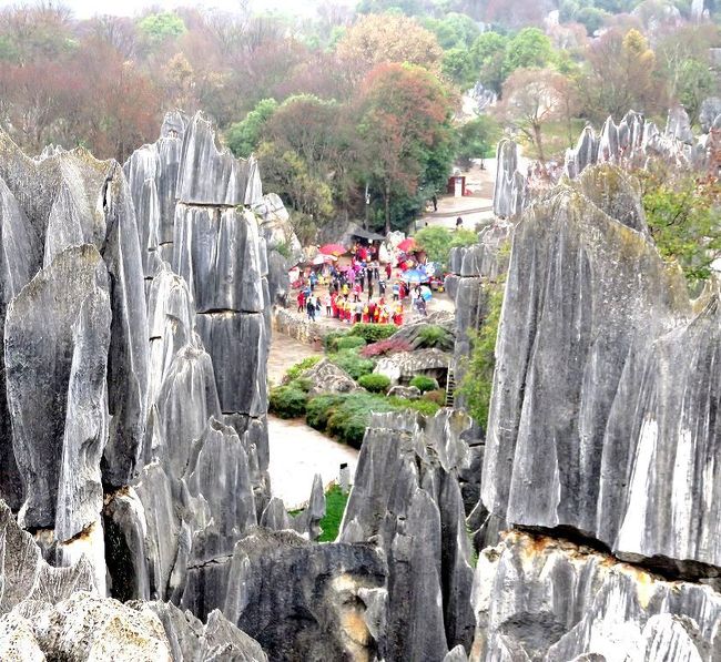 団塊夫婦の絶景の旅・２０１７中国ー（４）奇岩が林立する迷宮・石林の中を歩きまわる