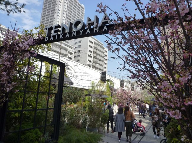 再開発によって漸進的にまちの姿が変わる代官山を歩きながら、アートや花、贅沢な食を楽しんできました。