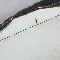 ソウルランド  で雪ソリ！子連れソウル