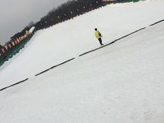 ソウルランド  で雪ソリ！子連れソウル