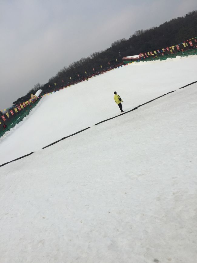 我が家の冬の韓国旅行！。。と言ったら<br /><br />雪ソリ！！<br /><br />去年はトゥクソム公園で ソリ遊びしました～<br /><br />今年は<br /><br />ソウルランドへ行きましたよ。<br /><br />경기도 과천시 광명로 181 