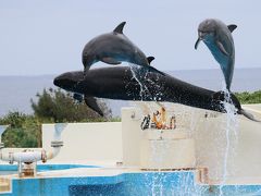 沖縄2017　美ら海水族館へ