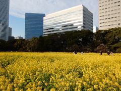 早春の「芝離宮恩賜庭園」と「浜離宮恩賜庭園」を散歩してきました