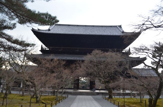 臨済宗の大本山である南禅寺、市営地下鉄の蹴上駅が最寄りです。拝観が夕方の五時までだったので登ることはできなかったのですが、山門からの眺めは抜群でしょう。方丈庭園は拝観しました。狩野派の障壁画は複製が飾られていますが、立派なものです。南禅寺の門前にあるのが、料亭兼旅館の菊水です。ここには広い庭やお座敷があって、舞妓さんや芸妓さんを呼んでもらうこともできます。