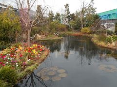 西武百貨店・食と緑の空中庭園を訪問①春の花がいっぱいの睡蓮の庭にて