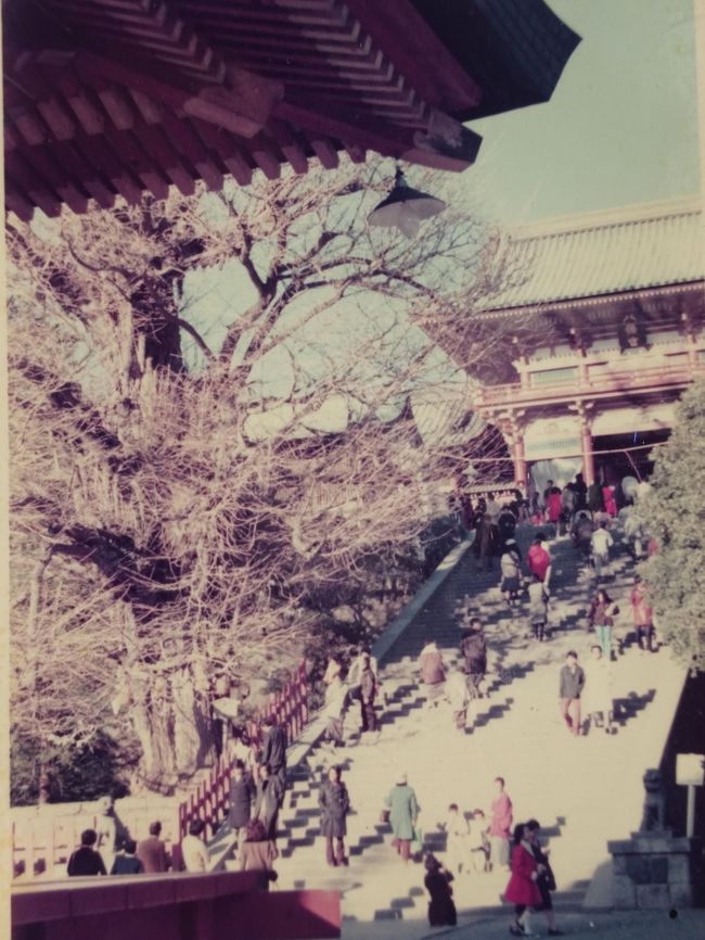 京都を旅行して､お寺に興味を持ち､冬の鎌倉を2回に分けて行きました｡<br /><br /> {旅程}<br />①1/9(金)<br />東京駅ｰ北鎌倉駅 歩いて色々なお寺や山道を歩き､鎌倉駅に行きます｡<br />円覚寺 東慶寺 浄智寺 明月院 長寿寺 亀ヶ谷坂 建長寺 半僧房 円応寺 巨福呂坂 鶴岡八幡宮 国宝館 来迎寺 源頼朝の墓 法華堂跡 大江広元･島津忠久の墓 源平池 若宮大路 鎌倉駅 <br /><br />②1/21(水)<br />東京駅ｰ鎌倉駅に行き､色々なお寺やﾊｲｷﾝｸﾞ･ｺｰｽ等を歩き､鎌倉駅に戻ります｡<br />鶴岡八幡宮 荏柄天神社 覚園寺 薬師堂ｶﾞ谷 百八やぐら 鎌倉宮 永福寺跡 瑞泉寺 護良親王の墓 (ﾊｲｷﾝｸﾞｺｰｽ) 北条首やぐら 貝吹地蔵 お塔やぐら 番場ﾂ谷 一二所神社 梶原太刀洗水 朝比奈切通し 鎌倉駅 <br />