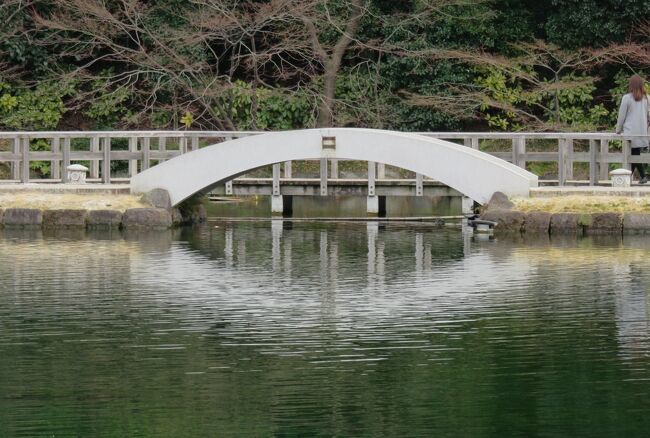 梅の花咲く徳川園の紹介です。海に見立てた『竜仙湖』の周りは、見所一杯でした、草木では、梅のほかにも、福寿草や、椿の花が目を楽しませてくれました。(ウィキペディア)