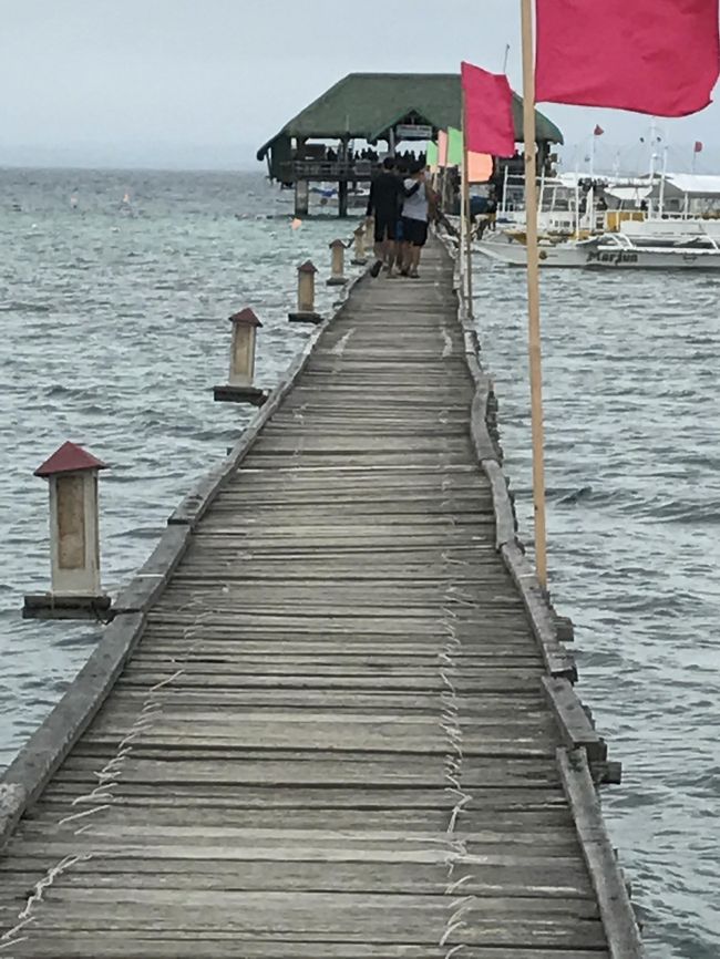 前回初の海外で、また海外に行きたいと言う事で今回4日間で海の綺麗なとこってことでフィリピンのセブ島マクタンに行く事になりました。<br />私もフィリピンは初めてで楽しみでした。マクタンには信号機が無いことに驚き運転手によくぶつからないねと聞くとアイコンタクトだと返された。　笑<br />朝発の飛行機だったので前回同様前泊成田で直行便選択で、午後到着で、ホテルはﾌﾞﾙｰｳォ-ﾀｰﾏﾘｺﾞﾊﾞﾘｿﾞｰﾄ泊で近隣やホテルを散策、東南アジアなので彼女に合う食事を探すのが大変なにせおこちゃま並みの偏食だから食べれる物がなく大変でした。笑<br />そんな彼女はダイビング酔い止め忘れるし、ダイビング中にクラゲか何か毒の有る物に刺されたみたいで両手が腫れあがり大変両手が使えないし船酔いもあり2本目のダイビングは彼女抜きで楽しんできました。<br /><br />ダイビングのあとはタクシーでセブシティーのアヤラモールでお買い物、偶然見つけたとんかつ屋さんがあって彼女もかつ丼食べて少しは元気になってくれて一安心、お子ちゃま感満載　笑<br /><br />次の日はセブに来たからにはとアイランドピクニックを体験、あいにくの曇り空でしたが良かったです。昨日酔い止め飲むの忘れたのにその日も忘れて風もあり島まで船がかなり揺れ心配しましたが、浪で海水が当たり船内までしぶきが来ること楽しかったみたいで喜んでました。ホント子供です。笑<br /><br />今回は彼女に災難はありましたが、それなりに楽しい旅になりました。<br /><br />私は、バリ島や、ベトナム、シンガポールとか経験してるので食べ物は気にならいけど、彼女にとっては大事です。<br />次は何処に行きたいと言い出すだろうか楽しみです。